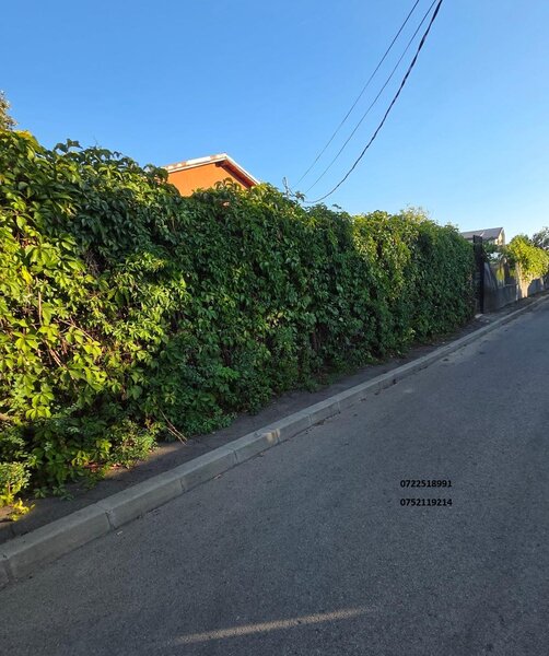 Dr. Taberei, Ghencea teren intravilan, 600 mp